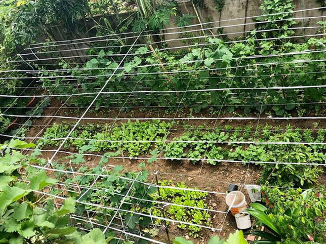 Mái ấm hạnh phúc của vợ chồng NSND Hồng Vân sau 15 năm hôn nhân - 4