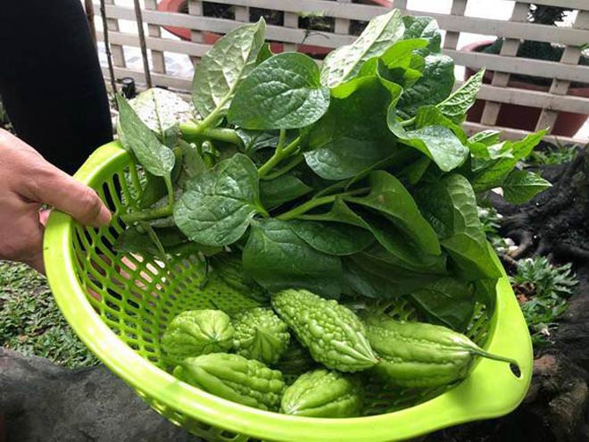 Mái ấm hạnh phúc của vợ chồng NSND Hồng Vân sau 15 năm hôn nhân - 5