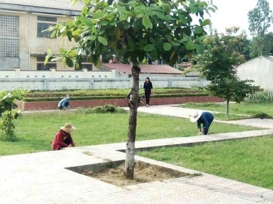 Nam giáo viên mang dao xông vào trường đánh 2 nữ giáo viên bị thương - 1