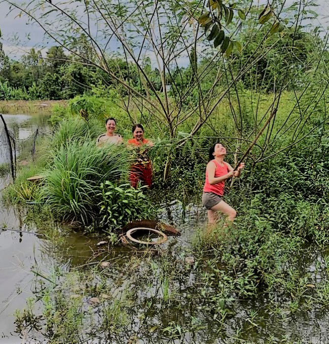 Mùa nước lũ, người dân miền Tây hái bông điên điển, thu tiền mỏi tay - 3