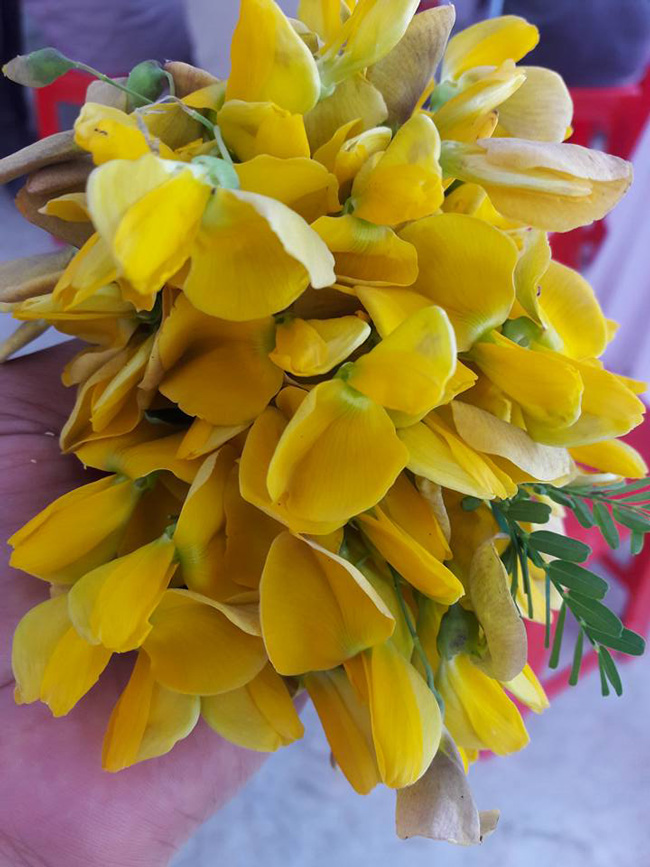 Mùa nước lũ, người dân miền Tây hái bông điên điển, thu tiền mỏi tay - 8