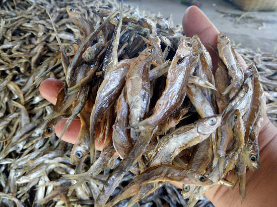 Chùm ảnh: Kiếm bộn tiền từ nghề cá khô sông Đà - 10