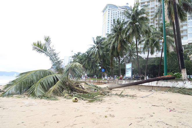 Tàn phá Nam Trung Bộ, bão tiếp tục gây thiệt hại ở Tây Nguyên - 4