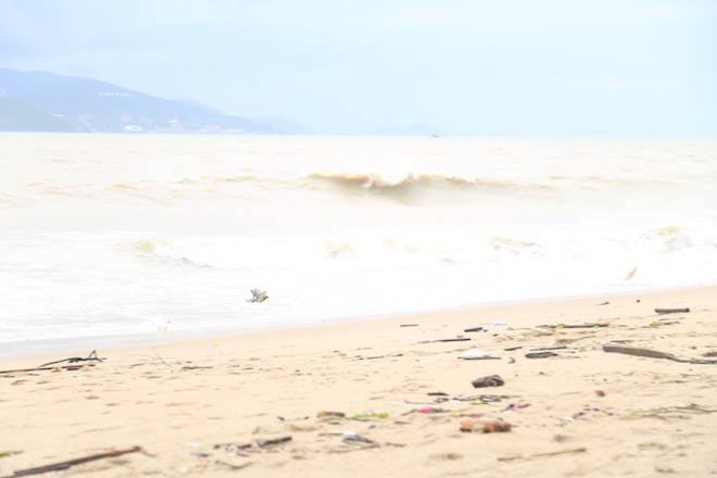 Tàn phá Nam Trung Bộ, bão tiếp tục gây thiệt hại ở Tây Nguyên - 5