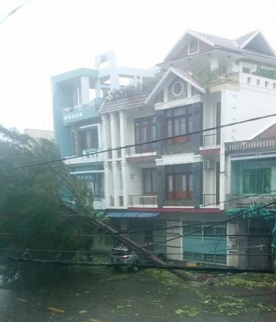 Tàn phá Nam Trung Bộ, bão tiếp tục gây thiệt hại ở Tây Nguyên - 12