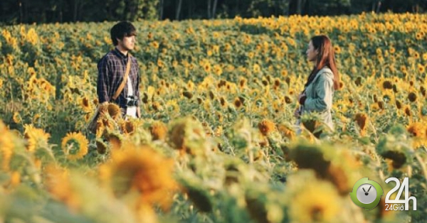 Ä'á» Xuáº¥t Xá»­ Pháº¡t Sai Pháº¡m Vá» Phong Chá»'ng Bá»‡nh Truyá»n Nhiá»…m - phim via t duy nhaÂº t tranh giaÂº i a Ã¿