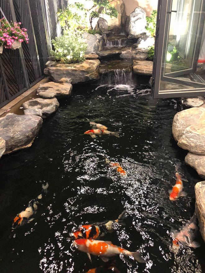 Ngắm 2 biệt thự hoành tráng của Cao Thái Sơn, riêng hồ cá đã 1 tỷ - 5