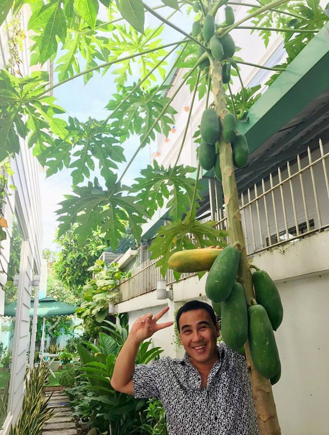 Biệt thự 22 tỷ của MC Quyền Linh và vợ đại gia sau tu sửa trông thế nào? - 9