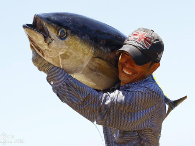 Thị trường - Tiêu dùng - Ảnh: Thủ phủ cá ngừ đại dương tại Phú Yên