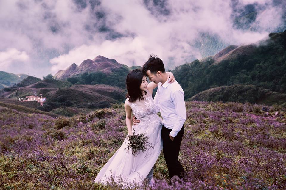 Cưỡi &#34;sống lưng&#34; Tà Chì Nhù ngắm hoa tím đẹp lịm tim đến mê mẩn - 9
