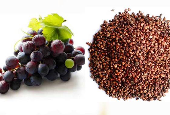 Hạt nho có lợi ích như thế nào với sức khỏe? - 1