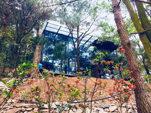 Hốt bạc nhờ kinh doanh &#34;biệt thự, nhà vườn&#34; ở Sóc Sơn - 2