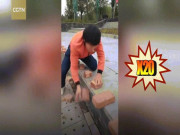 Media - Thanh niên 20 tuổi gây nghẹt thở với màn chặt gạch tốc độ kinh ngạc