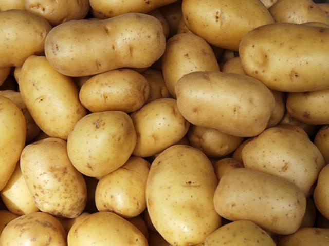 Ẩm thực - Những lưu ý khi chế biến món ăn từ khoai tây