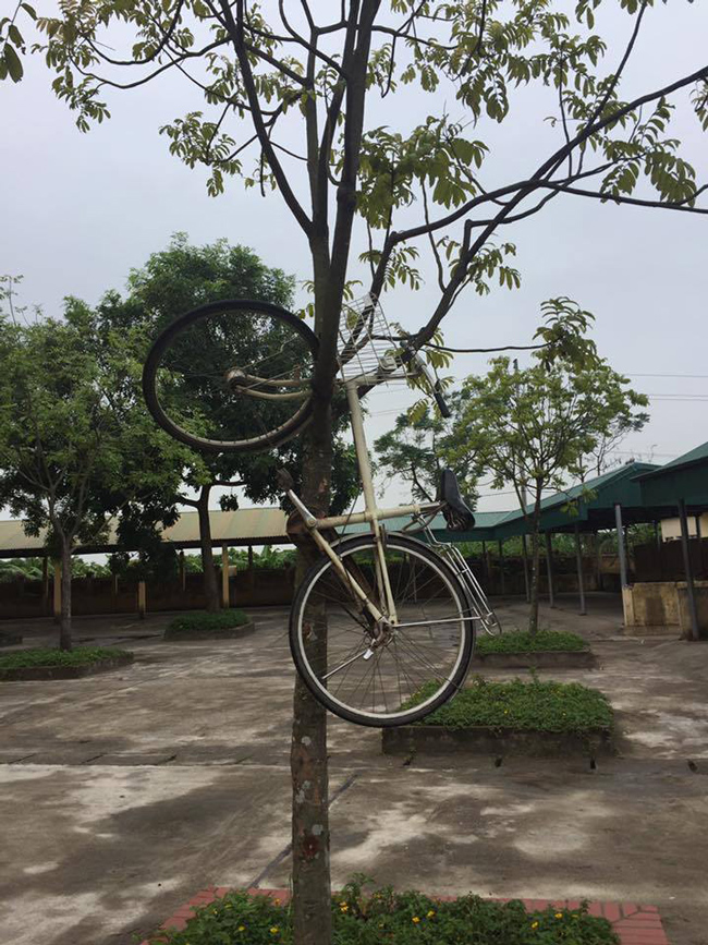 Khi không nhận lời tỏ tình, cô nàng đã chịu cái kết quá đắng!