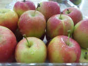 Thị trường - Tiêu dùng - Quả táo bé như quả mận, giá nửa triệu/kg được chị em săn lùng