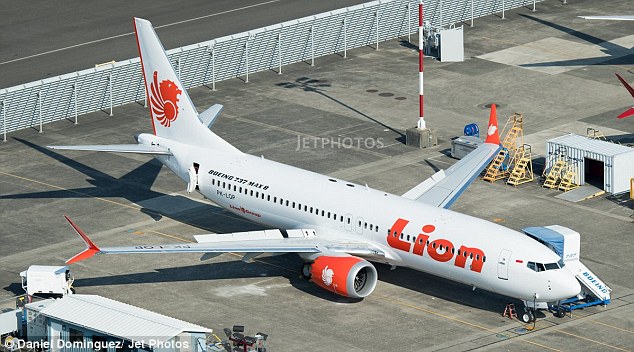 Máy bay Indonesia chở 189 người lao như “tàu lượn” một ngày trước - 1
