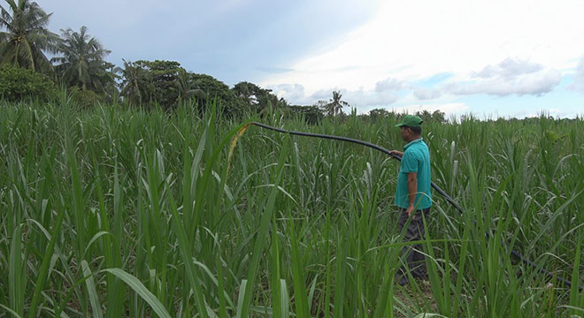 Dự Án Lcasp  - giải pháp xử lý toàn diện chất thải chăn nuôi tại các tỉnh ĐBSCL - 1