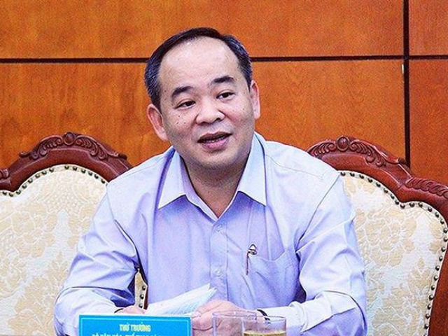 Thứ trưởng Lê Khánh Hải tranh cử Chủ tịch VFF - 1