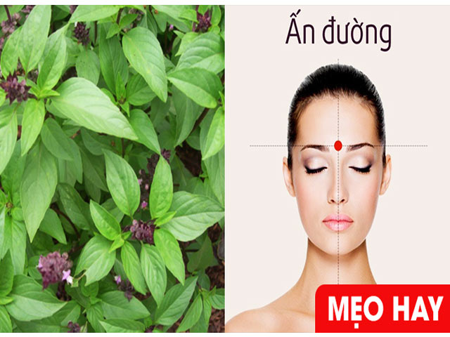 Tin tức sức khỏe - Cách khoa học giúp người huyết áp cao giảm đau đầu, chóng mặt, huyết áp ổn định