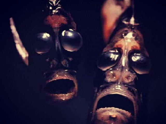 Media - Bí ẩn loài cá có khuôn mặt "tử thần" được xem như trở về từ địa ngục