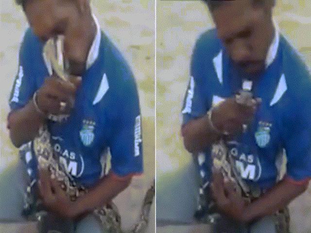 Thế giới - Indonesia: Huênh hoang khuất phục được trăn, bất ngờ bị phản đòn chí mạng