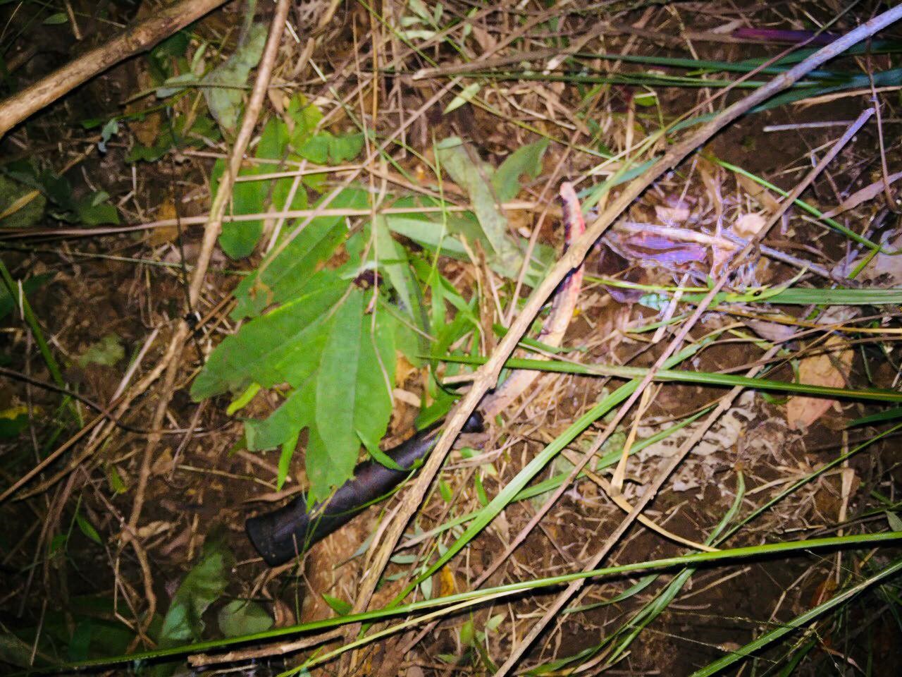 Nóng trong tuần: Thái độ đáng sợ của nghi phạm 13 tuổi cưỡng bức, cứa cổ cô bé 14 tuổi - 2