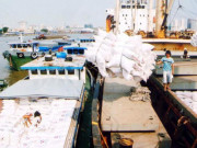 Thị trường - Tiêu dùng - Xuất khẩu gạo Việt Nam: Cần học bơi ra khỏi… “bể cá cảnh”