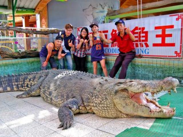 Thế giới - Cá sấu lớn nhất ở châu Á bị khách TQ ném chảy máu xem "có thật không"