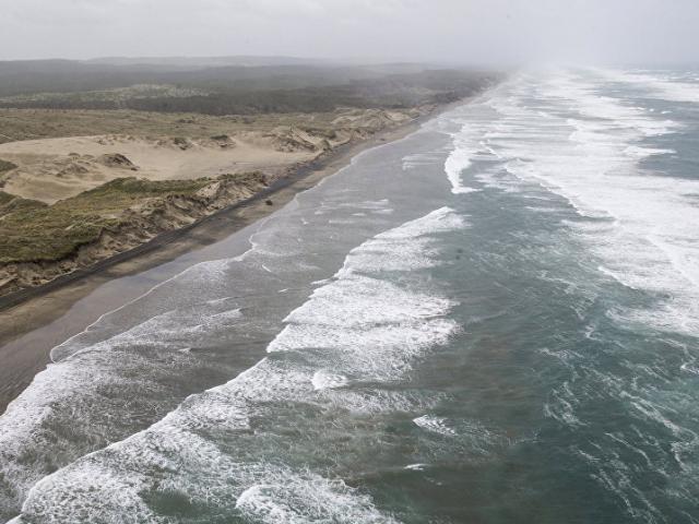 New Zealand: Tưởng búp bê trôi nổi trên biển, không ngờ là em bé
