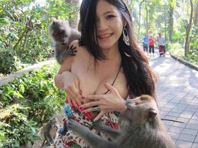 Giải trí - Khoảnh khắc hài hước khi các người đẹp làm việc với động vật