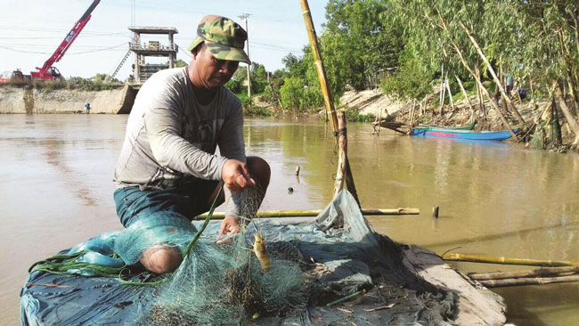 An Giang: Mùa lũ kỳ lạ, cá trôi theo nước, dân bà cậu tiếc hùi hụi - 2