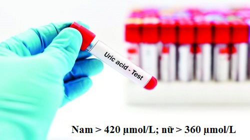 Giảm acid uric, giảm sưng, đau nhức nhờ kiên trì dùng cây này - 1