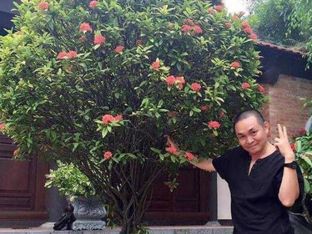 Phim - Cận cảnh nhà gỗ bạc tỷ của "vua hài đất Bắc" Xuân Hinh