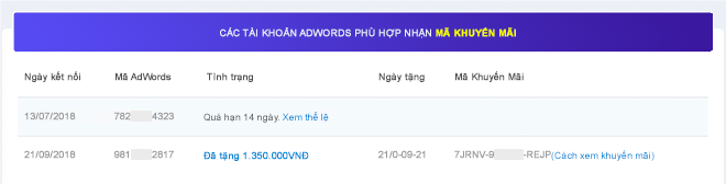 4 cách săn khuyến mãi từ Google Ads để tiết kiệm chi phí quảng cáo - 3