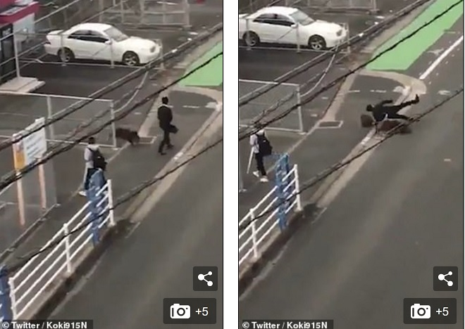 Nhật Bản: Đang đi trên phố thì bị lợn rừng lao đến tấn công dữ dội - 1