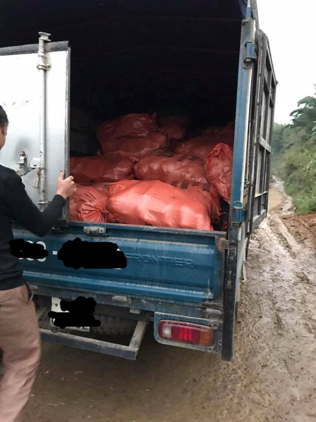 Thương lái đến tận nơi&nbsp;thu mua về xuôi.