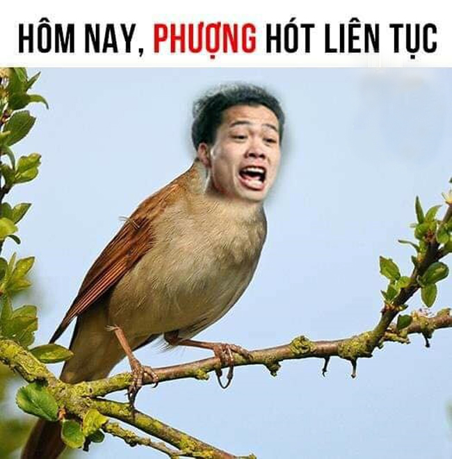 Sau khi ghi bàn, Công Phượng có thể &#34;hót&#34; liên tục.