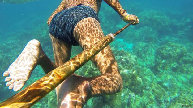 Bộ lạc “người cá” với khả năng nhìn dưới nước “siêu phàm” - 3