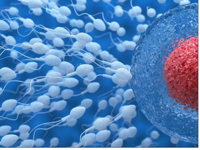 Sức khỏe đời sống - Soi màu sắc "tinh binh" để phát hiện ra bệnh nguy hiểm đối với quý ông