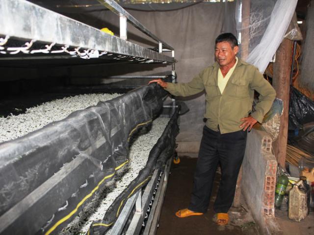 Thị trường - Tiêu dùng - Nuôi thêm con "ngoe nguẩy nhả tơ", cứ non 1 tháng có hơn 8 triệu