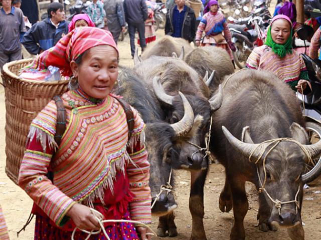 Thị trường - Tiêu dùng - Ảnh: Cán Cấu - chợ trâu, chim cảnh lớn nhất Tây Bắc