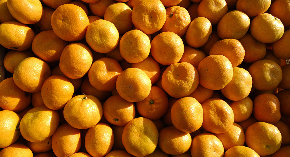 HQ gửi quà nặng 200 tấn đáp lễ nấm quý 1,6 triệu USD của Kim Jong-un - 1