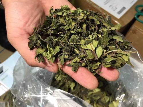 Những loại ma túy tàn phá cơ thể đang được giới trẻ săn lùng ít người biết tới - 2