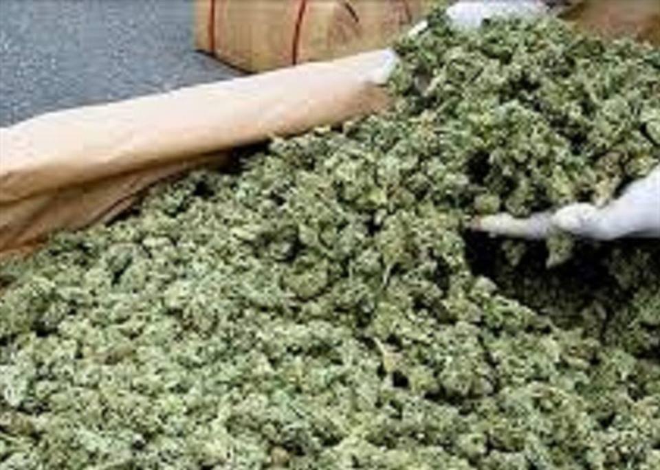 Những loại ma túy tàn phá cơ thể đang được giới trẻ săn lùng ít người biết tới - 7