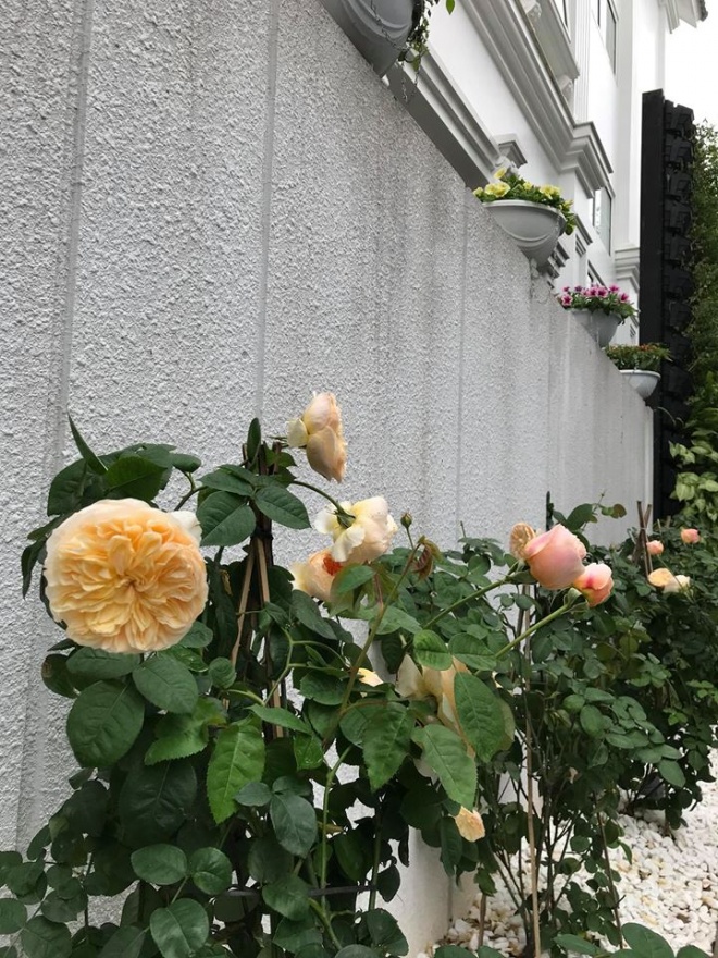 Cuộc sống với biệt thự, xe sang, chồng chiều hết nấc của ca sỹ Mỹ Dung - 4