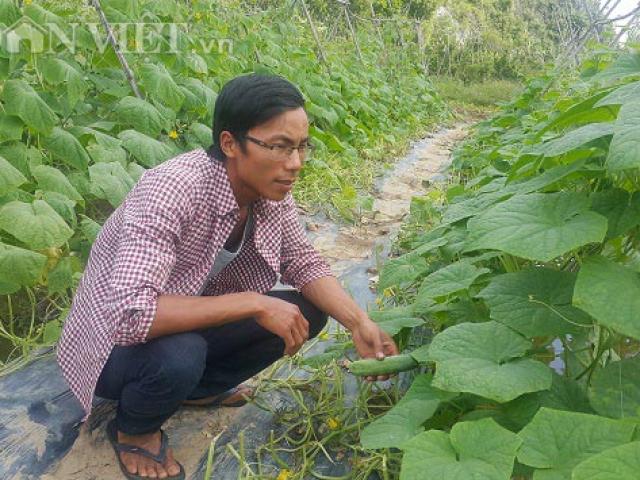 Thị trường - Tiêu dùng - Ninh Bình: Kỹ sư thủy lợi bỏ lương cao về quê làm..."địa chủ"