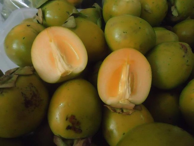 Tắc ruột khi ăn trái hồng giòn sai cách - 1