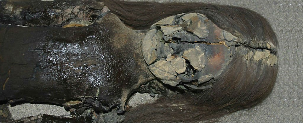 Chile: Trăm xác ướp 7.000 năm tuổi bỗng nhiên tan chảy - 1