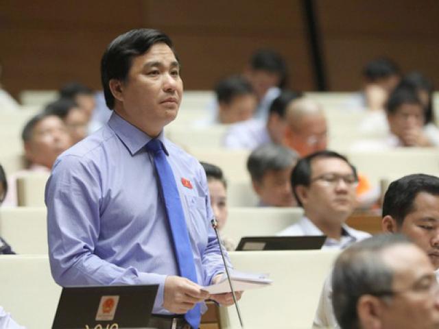 Giáo dục - du học - Đại biểu QH bức xúc về chương trình thí điểm "lấy học sinh làm chuột bạch"